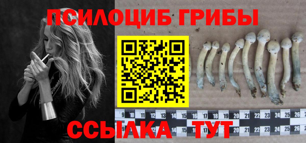 Галлюциногенные грибы MAGIC MUSHROOMS  Вход с VPN  Коломна 