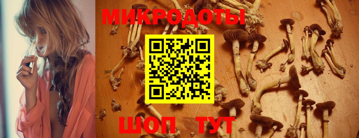 Галлюциногенные грибы MAGIC MUSHROOMS Коломна
